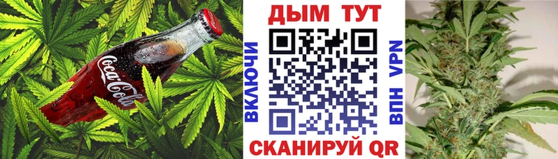 мега как зайти  наркота  Куровское  Еда ТГК конопля 