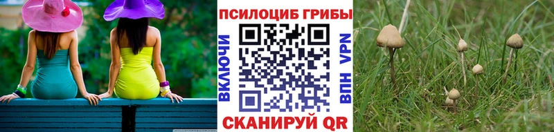 Псилоцибиновые грибы прущие грибы даркнет сайт Куровское
